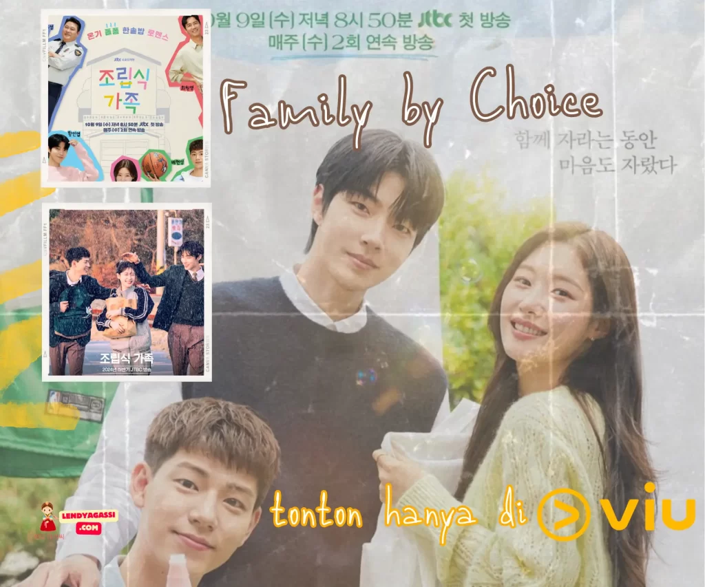 Review Sinopsis Family by Choice ending